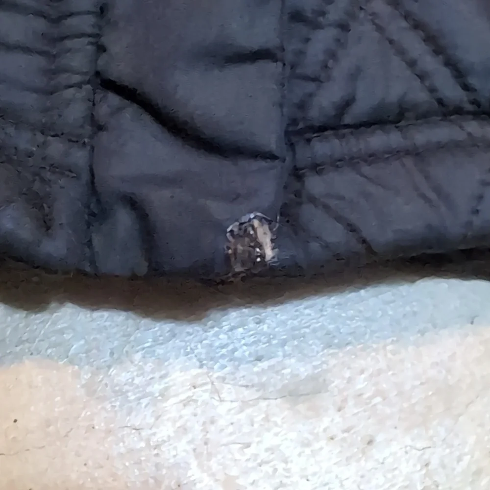Eddie Bauer Fleece Lined Quilted Jacket Men's S Black Full Zip
